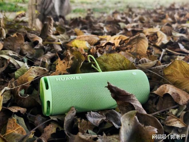 AWEI Sound Joy 2去拥抱自然米乐m6登录入口双11户外音箱推荐带H